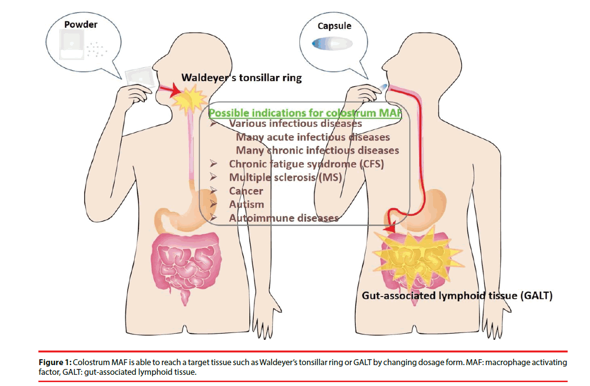 neuropsychiatry-lymphoid-tissue