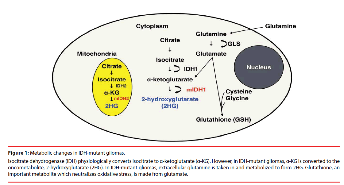 neuropsychiatry-mutant-gliomas