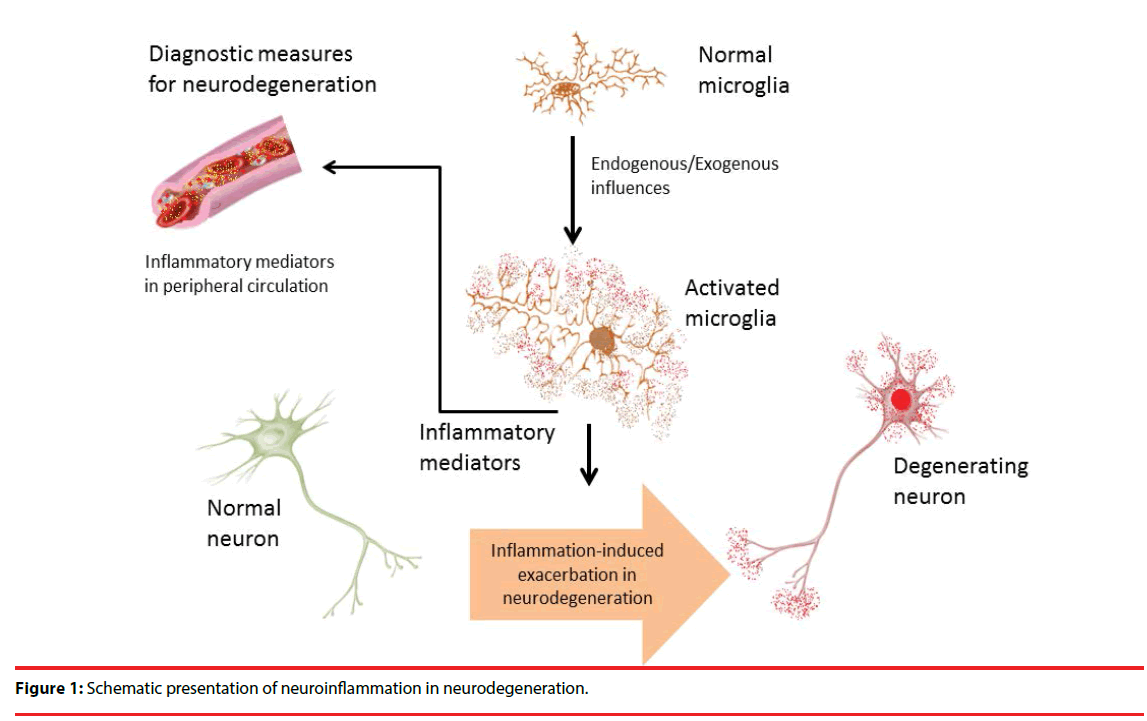 neuropsychiatry-neuroinflammation-neurodegeneration