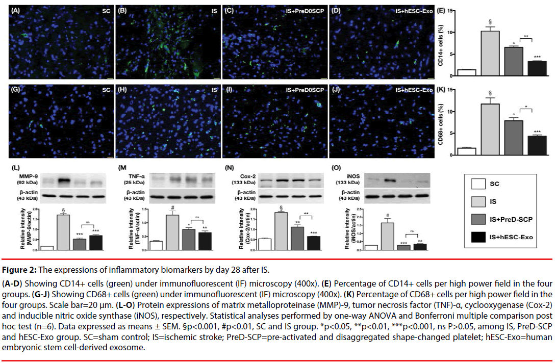 neuropsychiatry-nitric-oxide