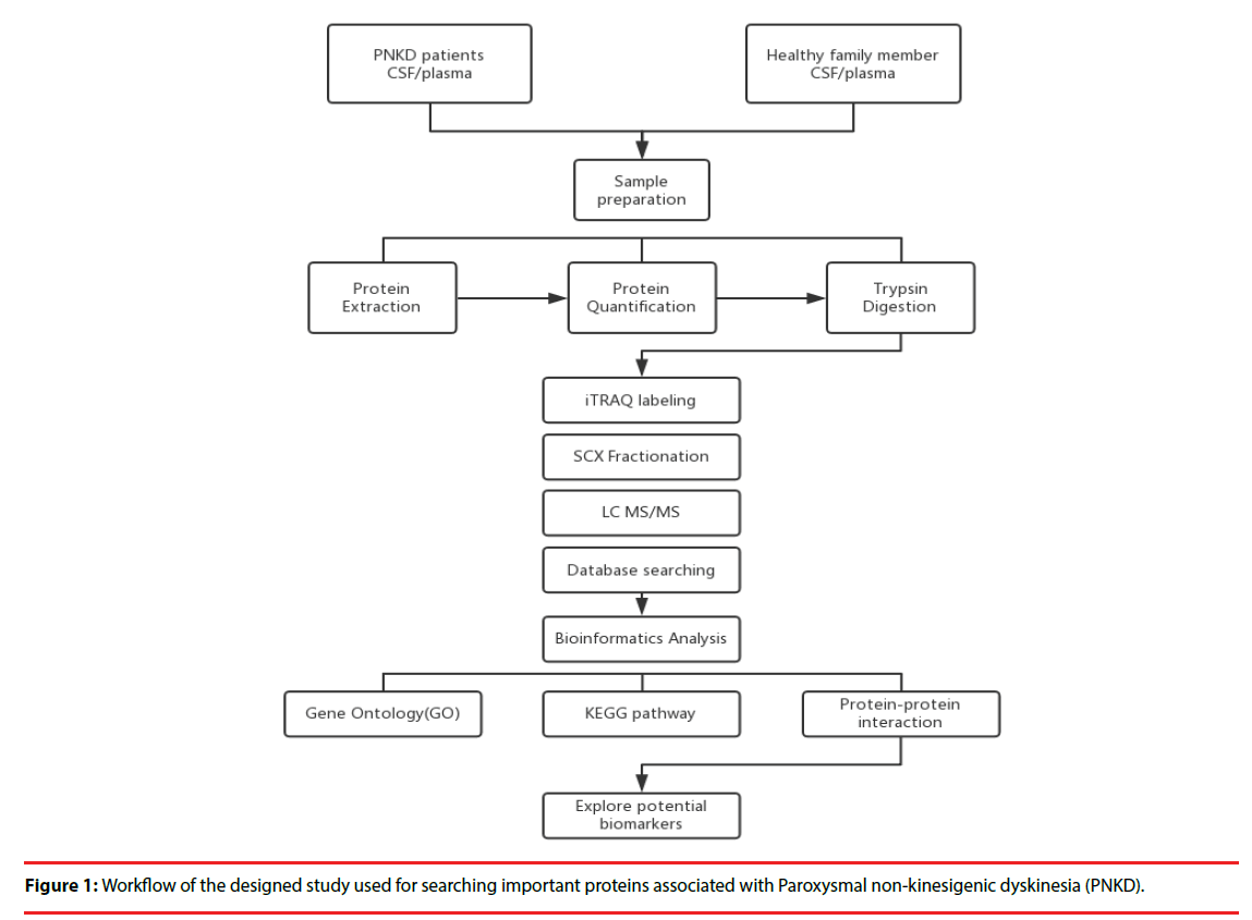 neuropsychiatry-non-kinesigenic