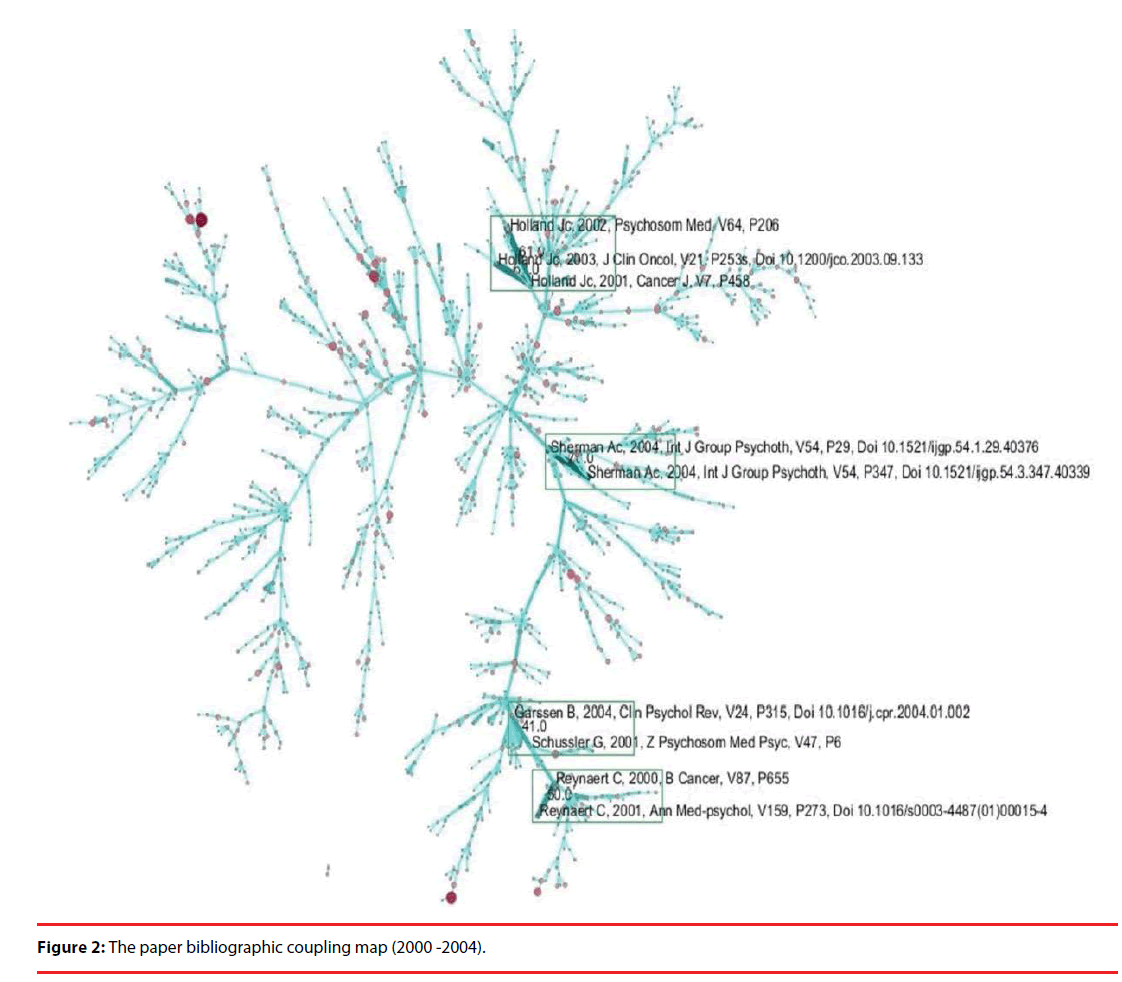 neuropsychiatry-paper-bibliographic