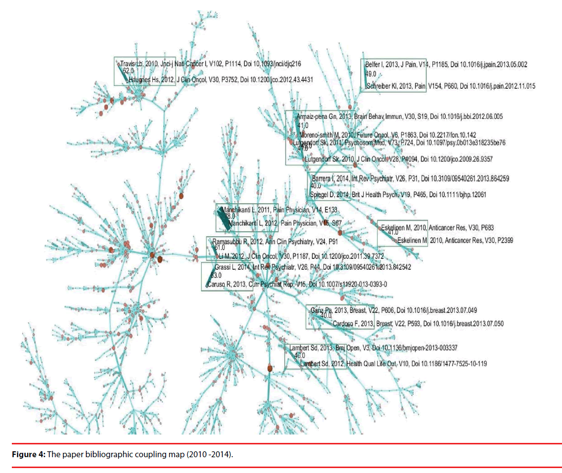 neuropsychiatry-paper-coupling