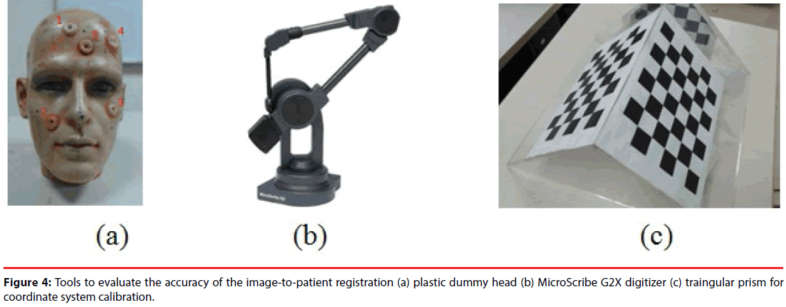 neuropsychiatry-plastic-dummy-head