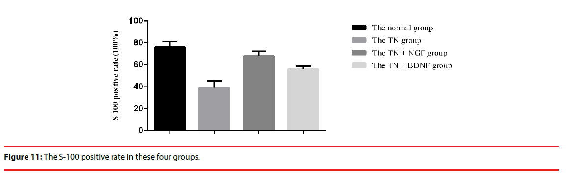 neuropsychiatry-positive-rate