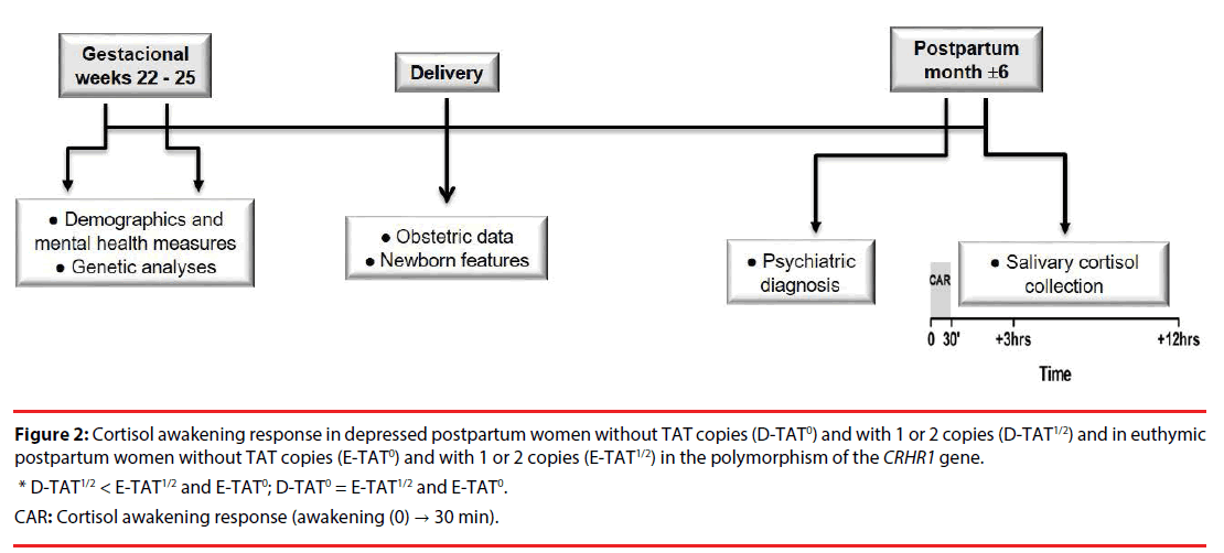 neuropsychiatry-postpartum-women