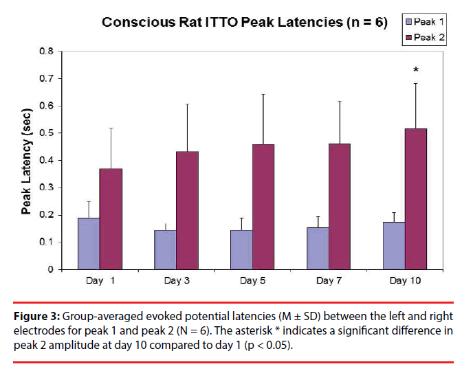 neuropsychiatry-potential-latencies