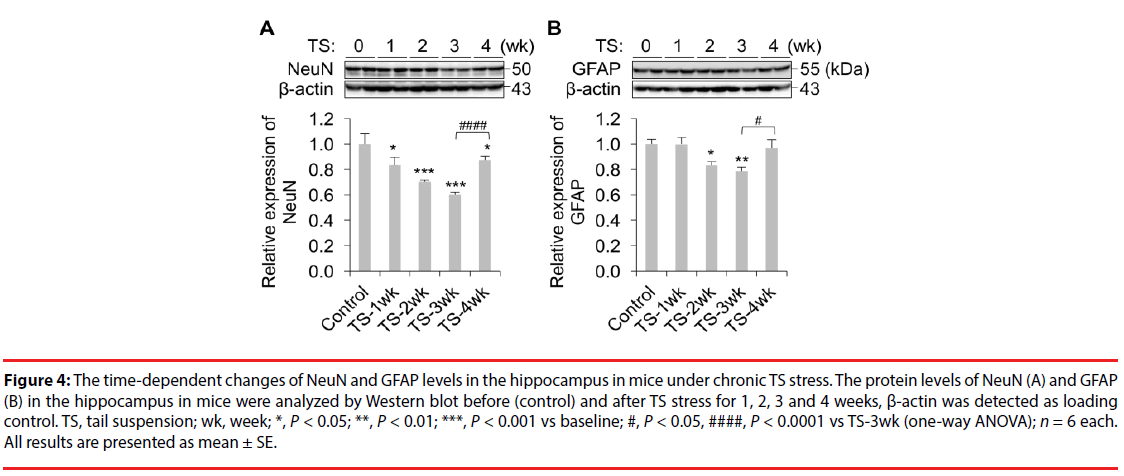 neuropsychiatry-protein-levels