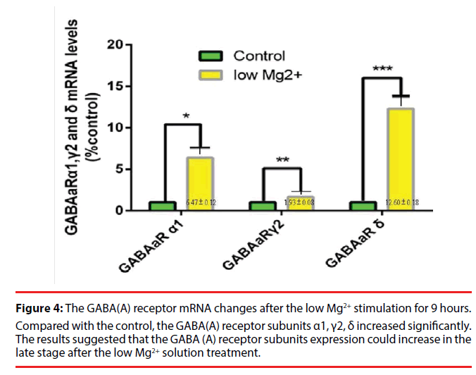 neuropsychiatry-receptor-subunits