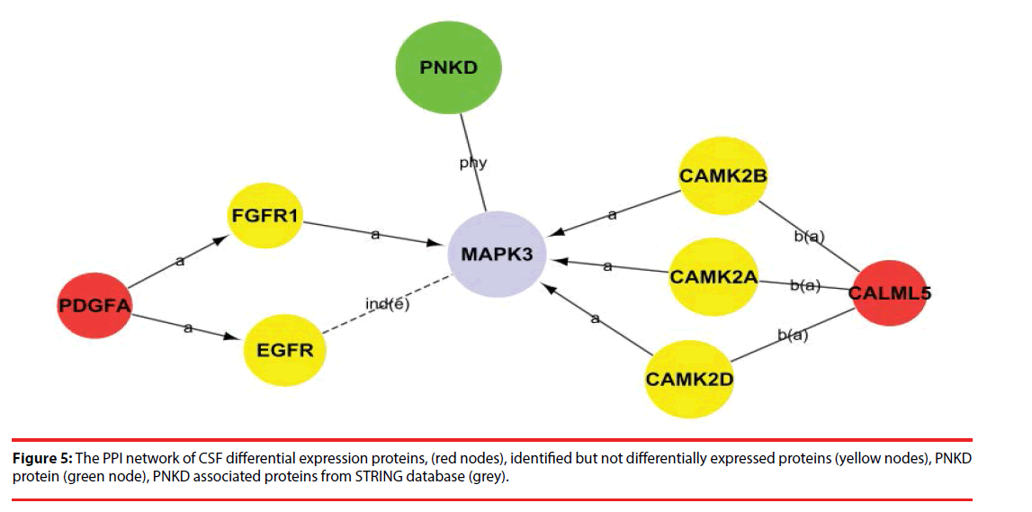 neuropsychiatry-red-nodes