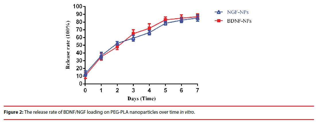 neuropsychiatry-release-rate