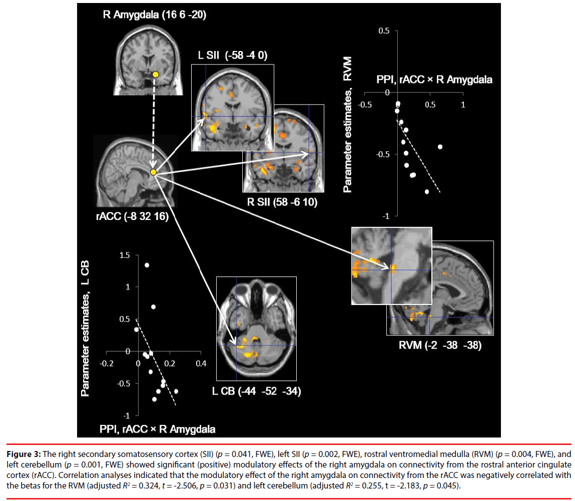 neuropsychiatry-right-secondary