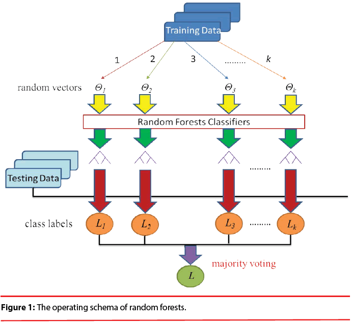 neuropsychiatry-schema-random-forests