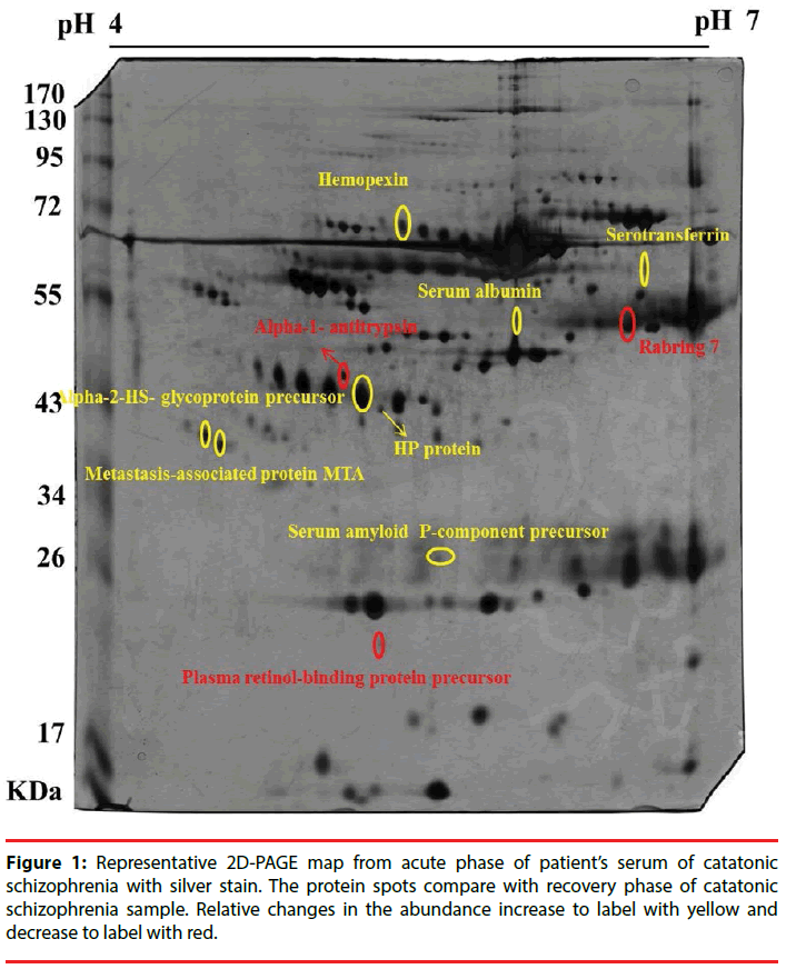 neuropsychiatry-silver-stain