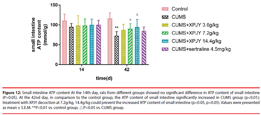 neuropsychiatry-small-intestine