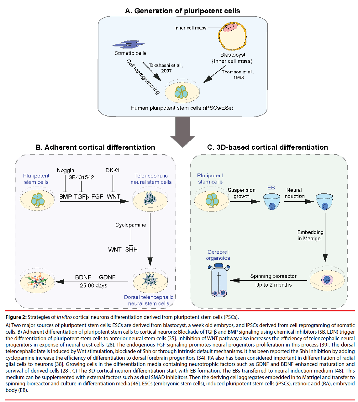 neuropsychiatry-stem-cells