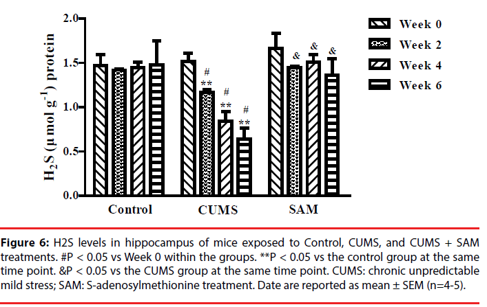 neuropsychiatry-time-point