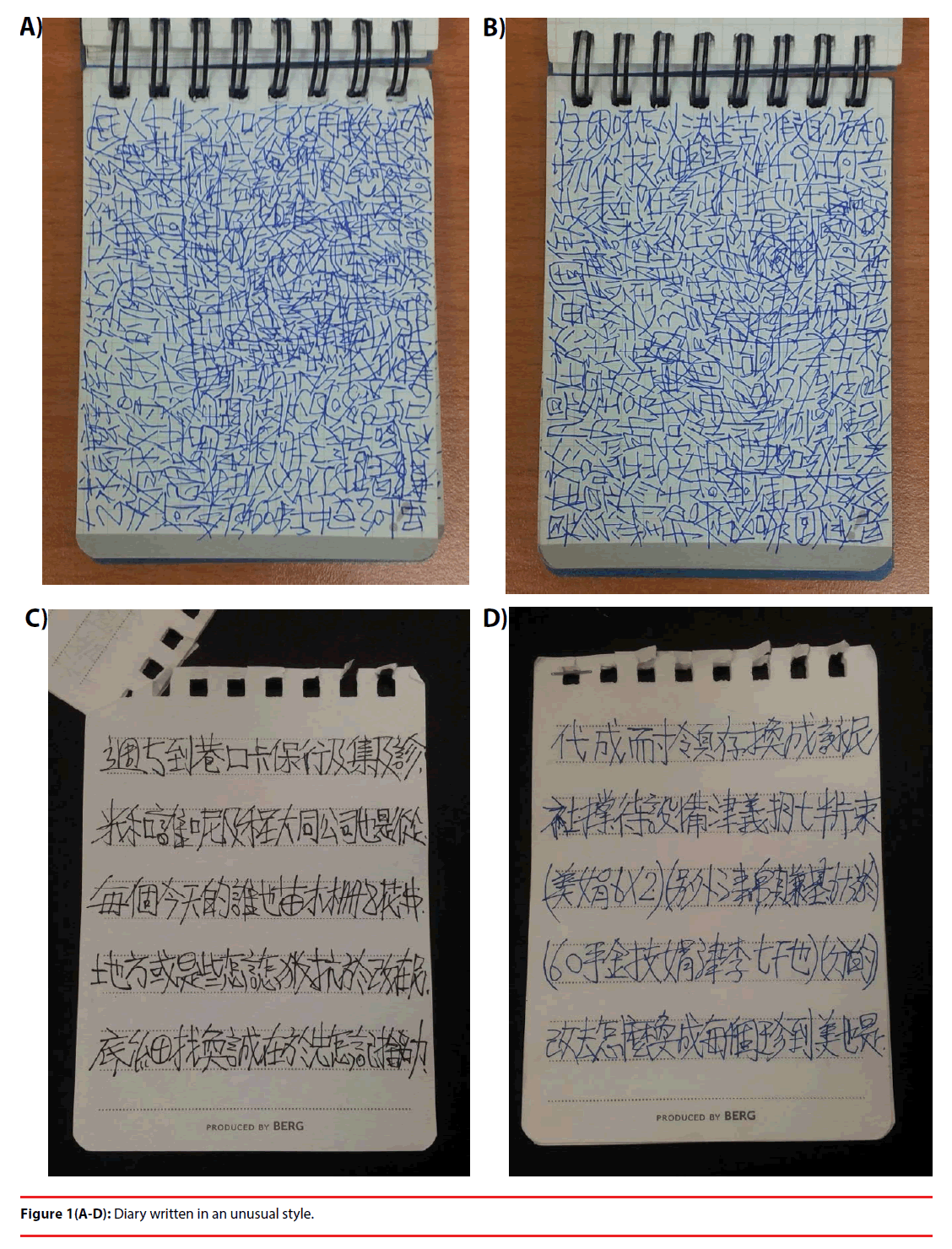 neuropsychiatry-unusual-style