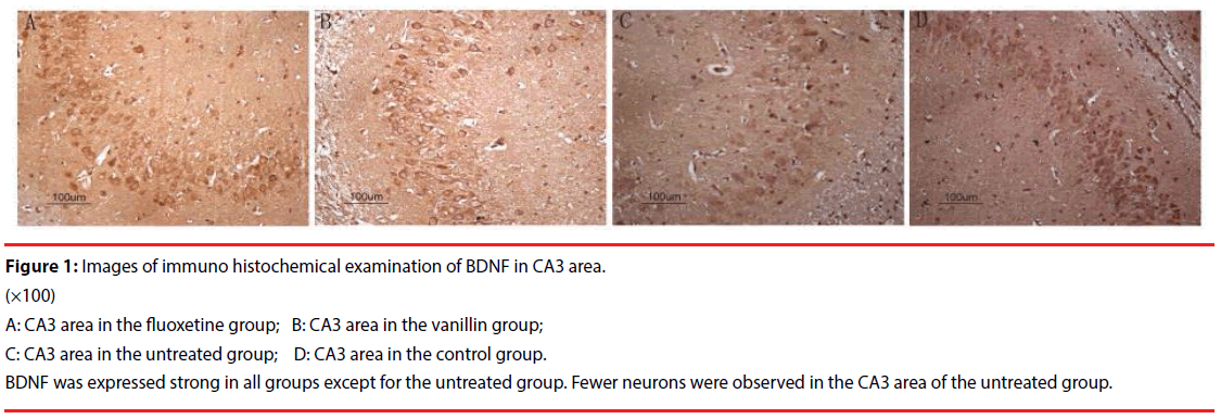 neuropsychiatry-vanillin-group